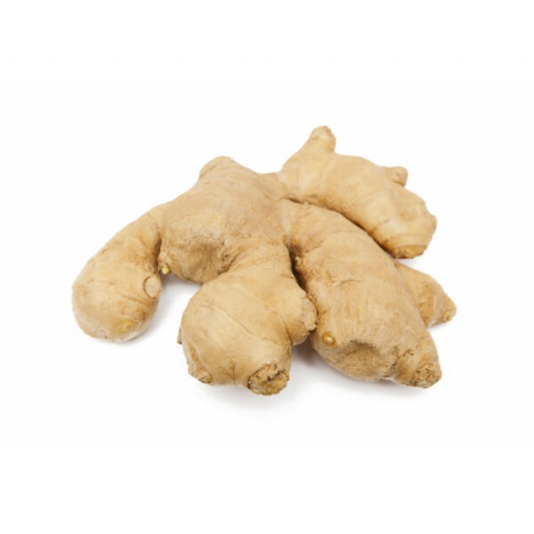 GINGER ΡΙΖΑ ΦΡΕΣΚΟ ΕΙΣΑΓΩΓΗΣ ΒΙΟ* ΒΙΟ ΑΓΡΟΣ