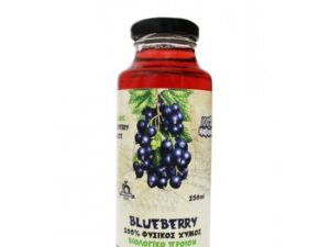 ΧΥΜΟΣ BLUEBERRY ΒΙΟ 250ml HEALTH TRADE