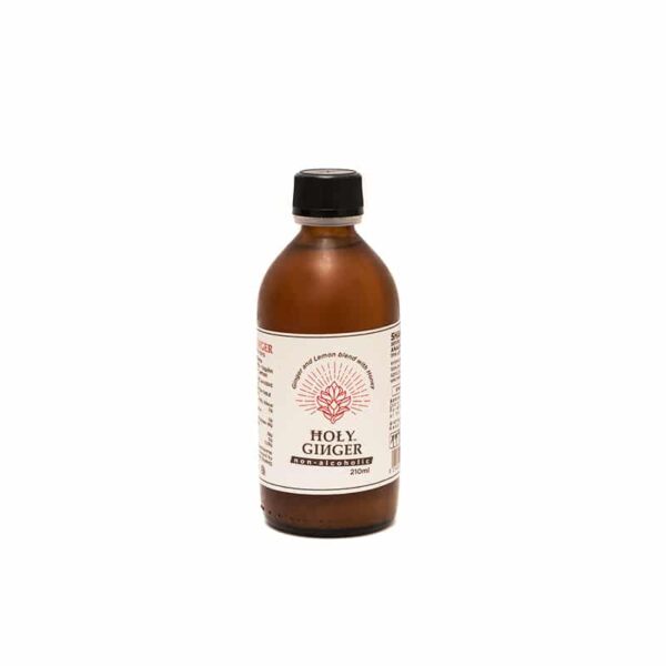 HOLY GINGER ΜΕΙΓΜΑ ΑΠΟ ΜΕΛΙ, ΛΕΜΟΝΙ & GINGER 210ml HOLY GINGER