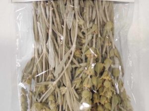 ΤΣΑΪ ΤΟΥ ΒΟΥΝΟΥ ΒΙΟ 35gr ΑΜΑΡΑΝΤΟ